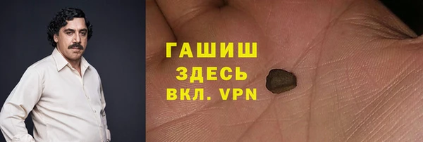 индика Чердынь