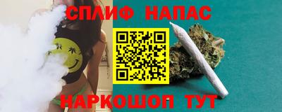 apvp Пугачёв