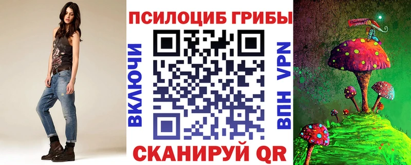 где купить наркоту  Мытищи  Псилоцибиновые грибы Magic Shrooms 