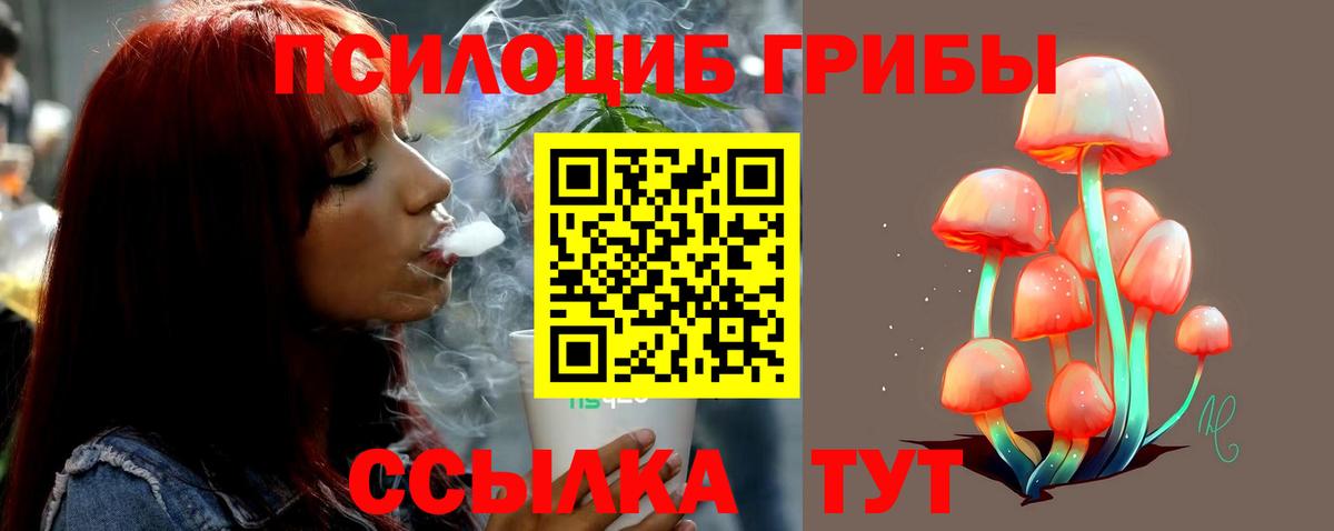 Псилоцибиновые грибы Magic Shrooms Мытищи